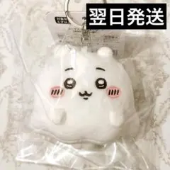 おばけなちいかわ　ちいかわパーク ミニマスコットキーリング