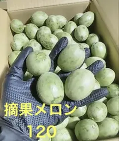 摘果メロン　北海道産　120前後のサムネイル