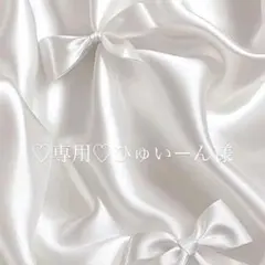 ♡専用♡ひゅいーん様