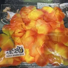 読売ジャイアンツ 巨人 オレンジフラワーレイ