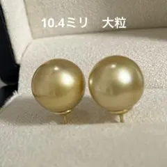 一点物　南洋白蝶ゴールデンパールピアス　茶金真珠　無調色　10.4ミリ大粒
