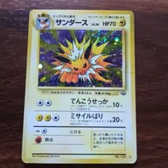 に*中様 ミカンのサンダース ○ ポケモンカード☆VS 030/141 - メルカリ