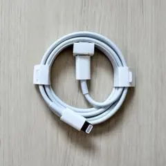 Apple純正Lightningケーブル