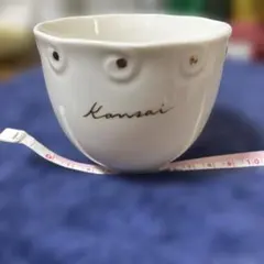 Item thumbnail for item 2873fb9a-c7d3-4d66-b9fe-023e6fc60717