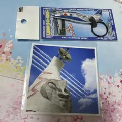 ブルー・インパルス / 「真実を見極めよ、ジョニー！」 1枚 - メルカリ