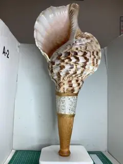 Item thumbnail for item 06f9156a-03a4-4cae-b2c0-872425b7714b