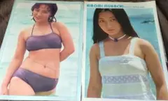 Item thumbnail for item e6b2707c-9078-4174-8b8e-ba3fc4c947e1