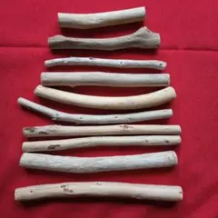 Item thumbnail for item 9dab1c8b-4003-49d4-befc-dcdfee4e3df5