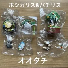 ポケモン　リーメント　森の小さなおはなしシリーズ　ホシガリス　パチリス　オオタチ
