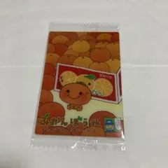【新品未使用】サンエックスユニバース カードウエハース ⑬みかんぼうや 2