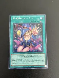 黒魔道のカーテン シク