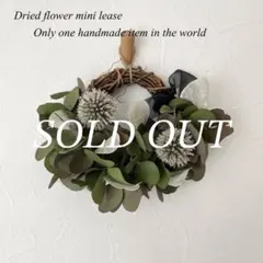 ポポラスとルナリアとアザミのハーフリース* * *ラッピング無料 ナチュラル 春