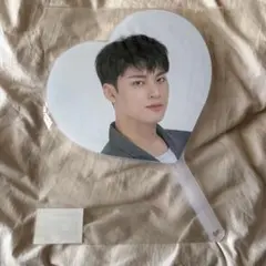 SEVENTEEN セブチ ミンギュ うちわ carat land 2020