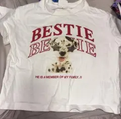 BREEZE 犬Tシャツ 90cmのサムネイル