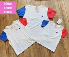 Champion Tシャツ 3点セット 親子 兄弟コーデ お揃い　新品　春　夏