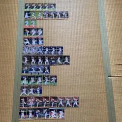 プロ野球チップス2026 まとめ売り　59枚