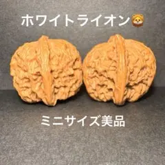 Item thumbnail for item 60642f01-8db4-4371-87b6-3b98689b850f