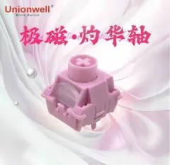 Unionwell Polar Blazing Bloom switch 70個