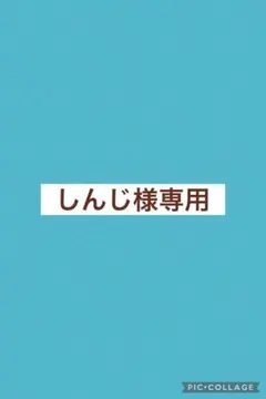 しんじ様専用
