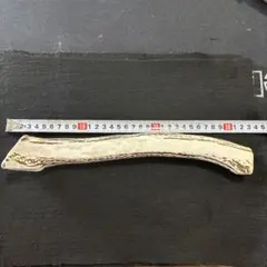 ①鳥　インコ　止まり木　カクタス　スケルトンパーチ　30cm ヒメコンゴウ ②鳥 インコ 止まり木 カクタス スケルトンパーチ 30cm ミニコンゴウ