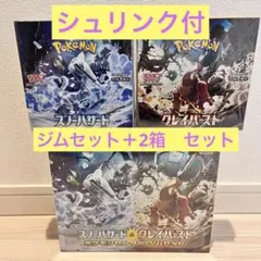 ポケモンカード　スノーハザード&クレイバースト　ジムセット＋2BOXセット