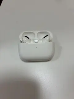 AirPods Pro右側のみ・充電ケース付き(左側はジャンク品です)