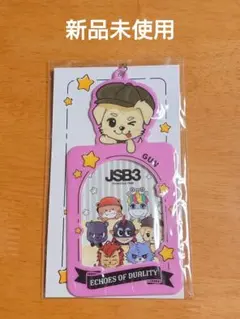 三代目 J SOUL BROTHERS 岩田剛典 フォトカードケース - メルカリ