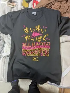 Mizuno スイミング大会 Tシャツ 2016Lサイズ
