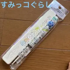 すみっコぐらし　音の鳴らない箸・箸箱セット　抗菌　スケーター　★新品★