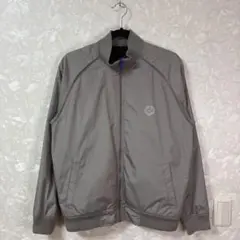 OLD STUSSY 90s 紺タグ　SSリンク　ナイロンブルゾン グレー