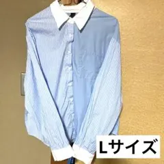 Item thumbnail for item 3095128a-dffd-4fe7-9f5b-e86bf647d271