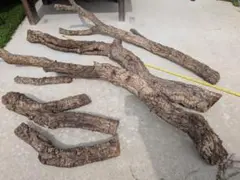 Item thumbnail for item cba3f2c9-6dfa-4f4b-84bc-a1c2509f3329