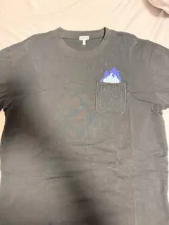 希少 ロエベ Tシャツ LOEWE /eyeloewe Nature ネイビー | Mercari