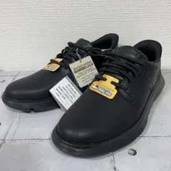 Item thumbnail for item 8cc2e49e-5dc9-4ff7-ae3f-edc8d6941e3b