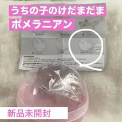 【うちの子のけだまだま】 ポメ新品未開封 3枚目イメージつきやすい実物写真あり！