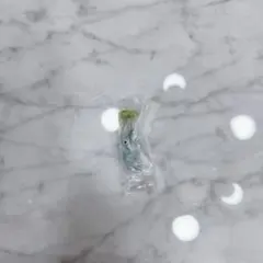 ピクミンめじるしアクセサリー2