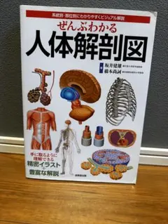 Item thumbnail for item 33f66e03-07df-4efb-961a-cdd9a27ea0bd