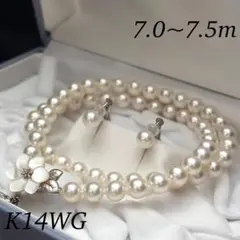 照り強&イヤリング✨️ あこや真珠 パール ネックレス 約7.0~7.5mm