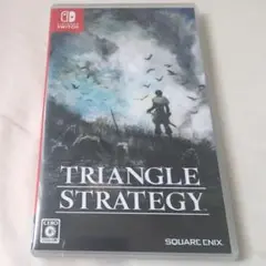 美品　Switch　トライアングルストラテジー