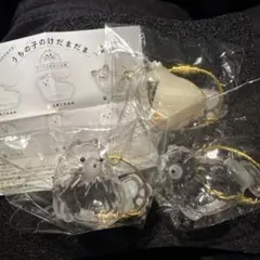 うちの子けだまだま　犬　ポメラニアン　柴犬