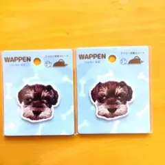 Item thumbnail for item 390309cb-2aa1-4edd-abd9-ce4223b59a58