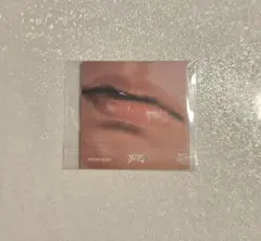 Stray Kids スキズ skz I.N アイエン リップトレカ