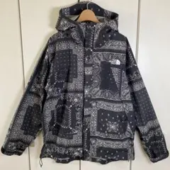 THE NORTH FACE ドットショット　L バンダナ柄 NP61535