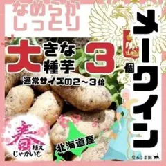 2026年最新】じゃがいも 種芋 無農薬の人気アイテム - メルカリ