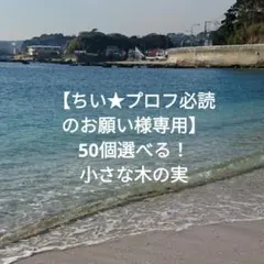 【ちい★プロフ必読のお願い様専用】50個選べる！小さな木の実