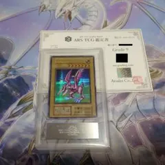 2025年最新】ホーリーナイトドラゴン ars9の人気アイテム - メルカリ