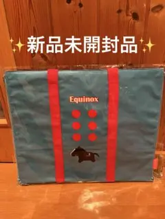 Equinox 2WAYトートバッグ レジャーシート　イクイノックス　プライズ