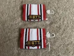 Item thumbnail for item 90105eaf-4774-4c04-938c-930e6f54986c