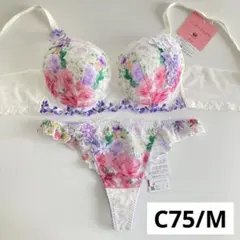 専用　ワコール　ルジェ　C75&amp;ノーマルM&amp;ソングM&amp;キャミソールM 専用 ワコール ルジェ C75&ノーマルM&ソングM 【公式通販】