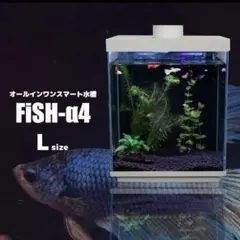 小型オールインワンスマート水槽多機能水槽 FSH-210T FiSH-α4 - メルカリ